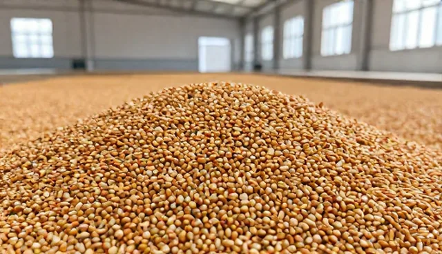 园林绿化种植技术指导中的种子包衣剂应用趋势